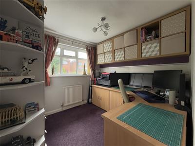 Picture 16